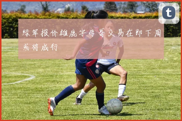 绿军报价雄鹿字母哥交易在即下周或将成行
