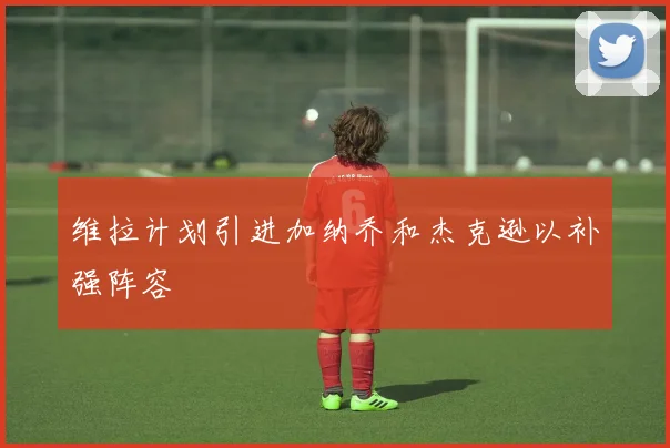 维拉计划引进加纳乔和杰克逊以补强阵容