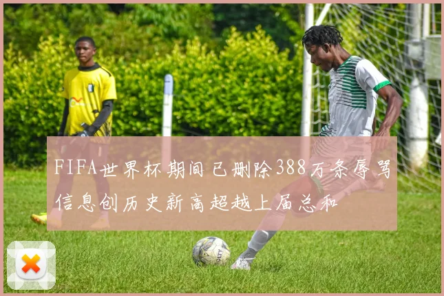 FIFA世界杯期间已删除388万条辱骂信息创历史新高超越上届总和