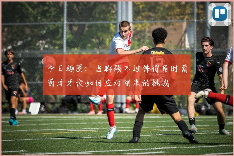 今日趣图：当脚踢不过佛得角时葡萄牙牙齿如何应对刚果的挑战